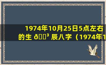 1974年10月25日5点左右的生 🐳 辰八字（1974年10月25日出生的人）